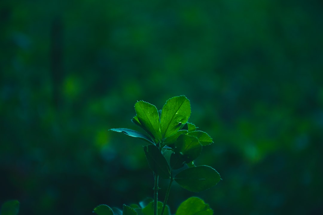 机械设备配件精密加工工艺对比与适用场景分析
